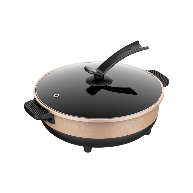 Electric Cooking Pots for the Busy Professional: Fast, Easy, and Delicious